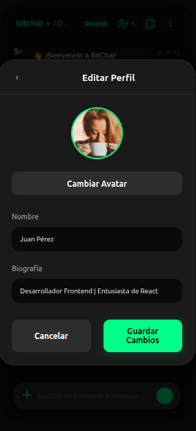 Optimización Final 11